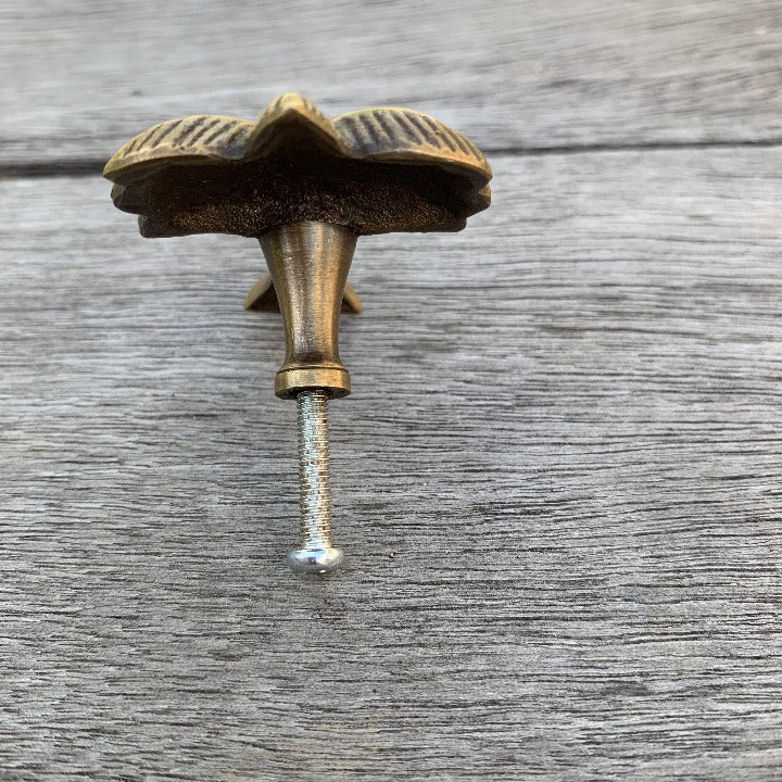Palm Tree Brass Knob - Ocean Luxe