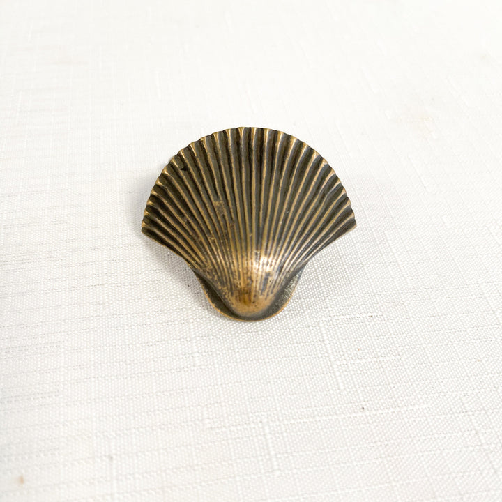 Sea Shell Knob Antique Ocean Luxe