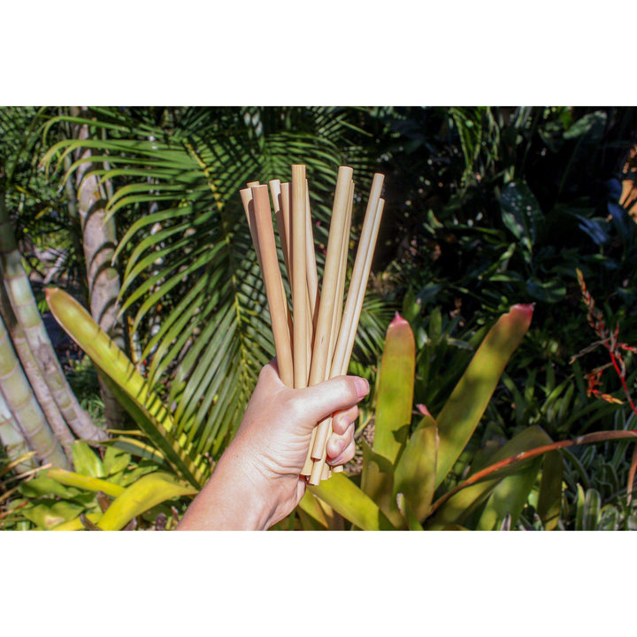 Ocean Luxe:Bamboo Straws