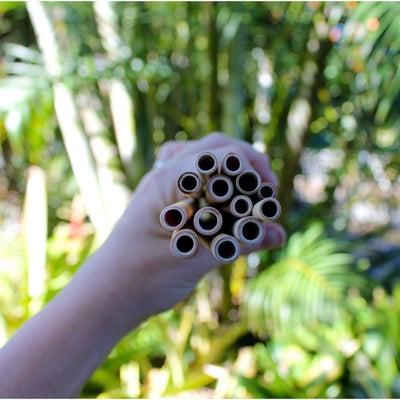 Ocean Luxe:Bamboo Straws