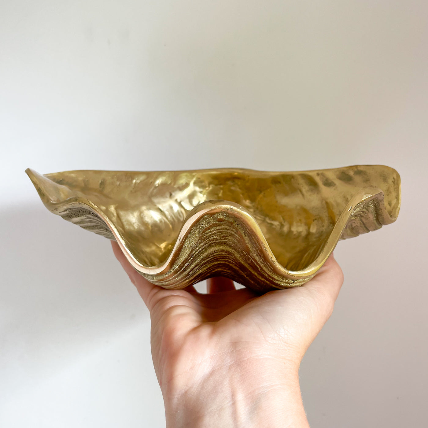 Brass Clam Shell