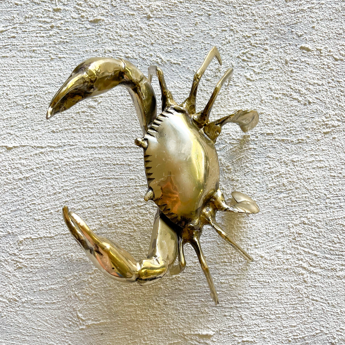 Brass Crab