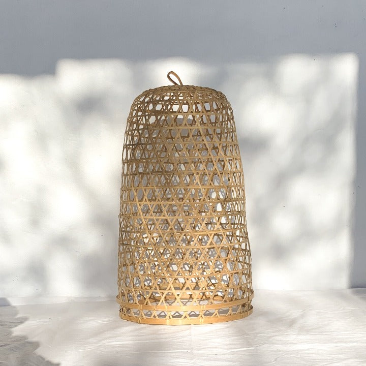 The Darwin Pendant Light - Ocean Luxe