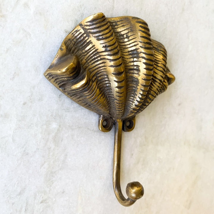 Clam Shell Brass hooks: Ocean Luxe