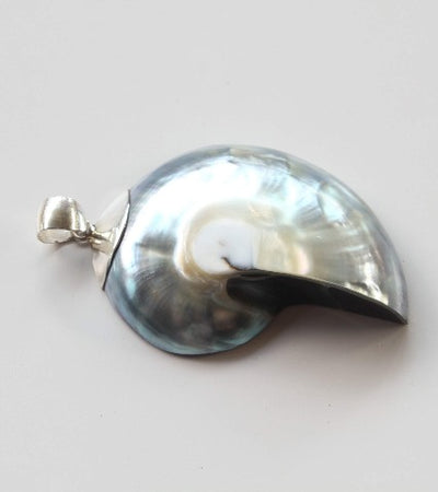 Ocean Luxe:Pearl Nautilus Pendant Necklace