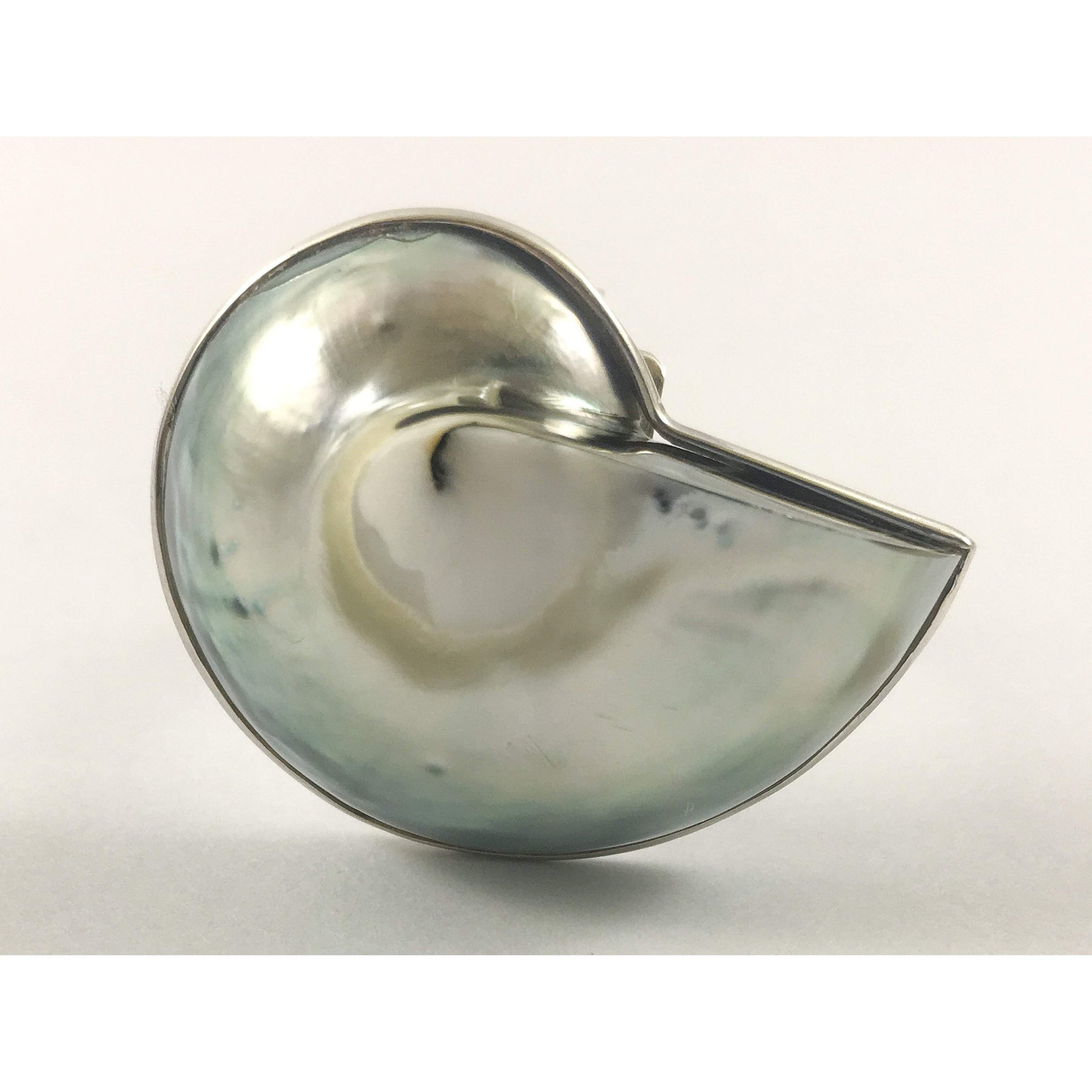 Pearl Nautilus Shell Ring - Ocean Luxe