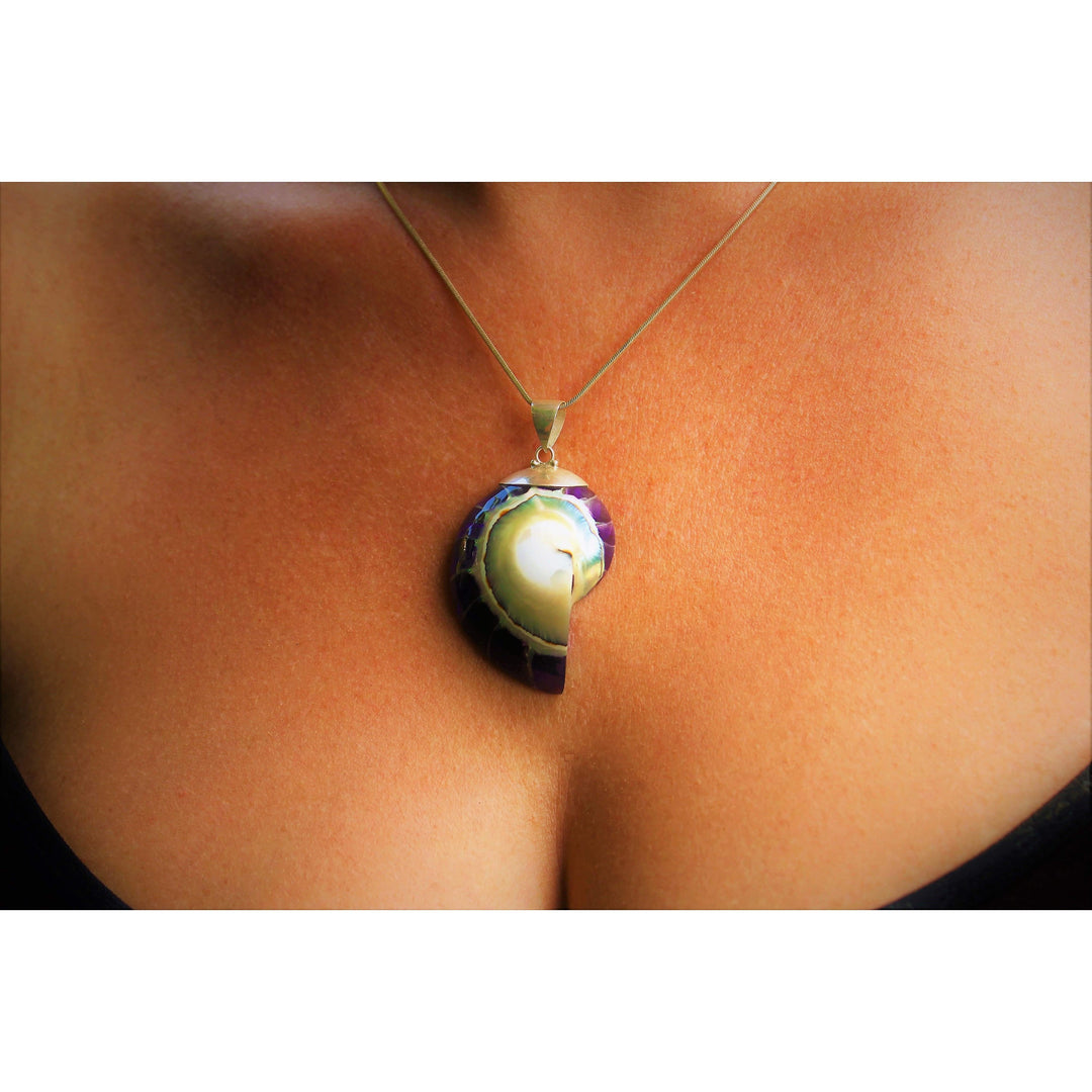 Ocean Luxe:Purple Nautilus Shell Pendant Necklace